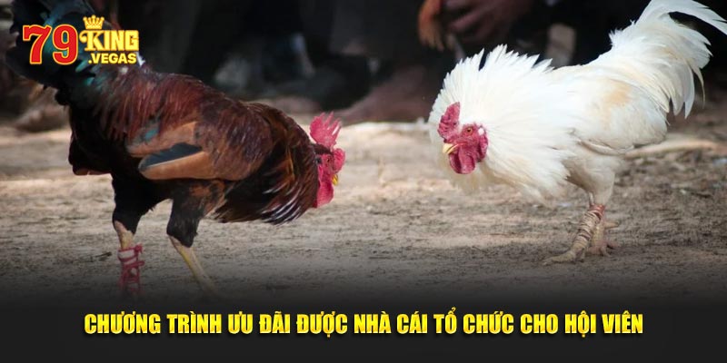 Chiến thuật chơi hiệu quả được cao thủ truyền lại Chiến thuật chơi hiệu quả được cao thủ truyền lại