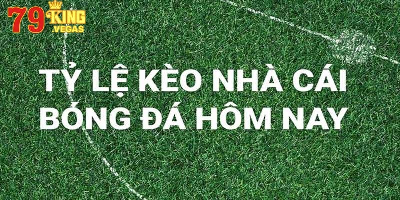 Tỷ lệ kèo nhà cái 5 là cơ sở để cá độ bóng đá Tỷ lệ kèo nhà cái 5 là cơ sở để cá độ bóng đá